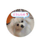 テクスタンプ（個別スタンプ：37）
