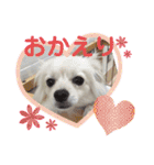 テクスタンプ（個別スタンプ：39）