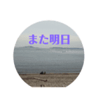 KANEZOH（個別スタンプ：7）