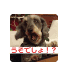 はなこ875（個別スタンプ：7）
