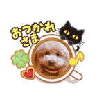 モカロンスタンプ（個別スタンプ：7）