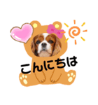 モカロンスタンプ（個別スタンプ：8）