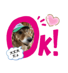 綾加（個別スタンプ：5）
