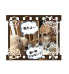 綾加（個別スタンプ：22）