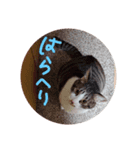ひなたつめあわせ（個別スタンプ：2）