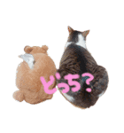 ひなたつめあわせ（個別スタンプ：3）