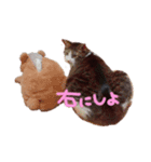 ひなたつめあわせ（個別スタンプ：4）
