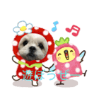 トイプードルとシーズー？（個別スタンプ：6）