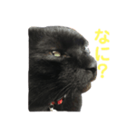 クロネコ安(あん)くんスタンプ（個別スタンプ：3）