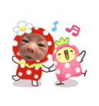 マルチーズと赤ちゃん（個別スタンプ：2）