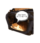 ねこの気持ち、うに＆めい（個別スタンプ：2）