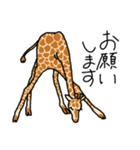 どうぶつえん の にんきもの（個別スタンプ：5）
