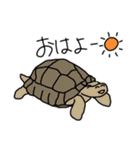 どうぶつえん の にんきもの（個別スタンプ：10）