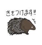どうぶつえん の にんきもの（個別スタンプ：16）
