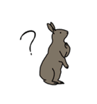 どうぶつえん の にんきもの（個別スタンプ：22）