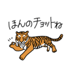 どうぶつえん の にんきもの（個別スタンプ：24）