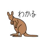 どうぶつえん の にんきもの（個別スタンプ：29）