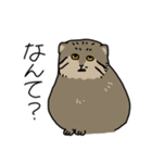 どうぶつえん の にんきもの（個別スタンプ：31）