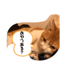 ねこの気持ち 男の子編（個別スタンプ：1）