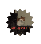 ねこの気持ち 男の子編（個別スタンプ：3）