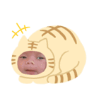 こっこちすたんぷ（個別スタンプ：7）