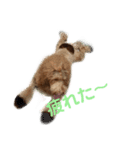 茶レンジャーズ1（個別スタンプ：6）