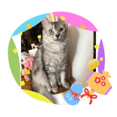 [LINEスタンプ] お正月とありじゃあのん