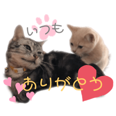 [LINEスタンプ] じんたんときなこ2