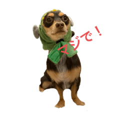 [LINEスタンプ] エイト君