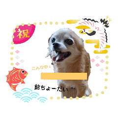 [LINEスタンプ] 俺スタンプ  SP（七五三編）
