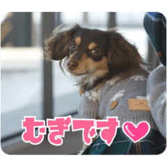 むぎです vol.1