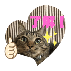 [LINEスタンプ] スズだもん！その2
