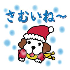 [LINEスタンプ] おもち犬の日常会話