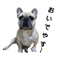 [LINEスタンプ] フレブル ちろころ