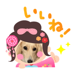 [LINEスタンプ] 七五三ダックスフンド