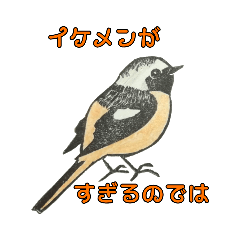 [LINEスタンプ] 野鳥のはんこスタンプ