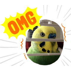[LINEスタンプ] 癒しのセキセイインコ達