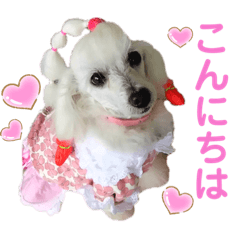 [LINEスタンプ] 箱入り娘のゆりあ