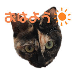 [LINEスタンプ] ジジ子スタンプ2