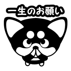 [LINEスタンプ] 耳デカマロ犬「ココ」のお願い多めスタンプ