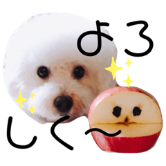 [LINEスタンプ] ぼー太郎の日常