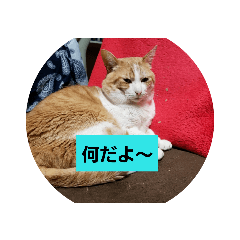 [LINEスタンプ] 空やん2