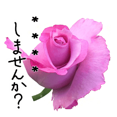 [LINEスタンプ] 変更可能な丁寧な言葉にバラの花を添えての画像（メイン）