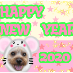 [LINEスタンプ] いけいけチョッちゃん！