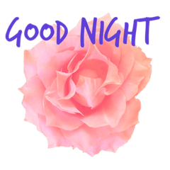 [LINEスタンプ] ご挨拶♡バラ