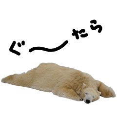 [LINEスタンプ] シュールで可愛い動物のスタンプ