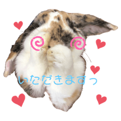 [LINEスタンプ] とらちゃん専用スタンプ★