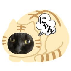 [LINEスタンプ] こぶやんスタンプ  第4弾