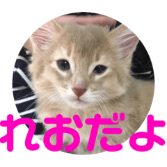[LINEスタンプ] レオたんスタンプパート2