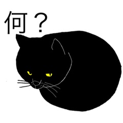 [LINEスタンプ] ぶあいそうなねこ。
